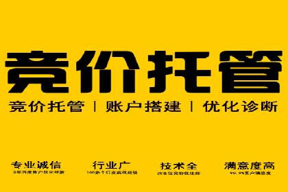 行业领先企业的sem账户竞价运营策略